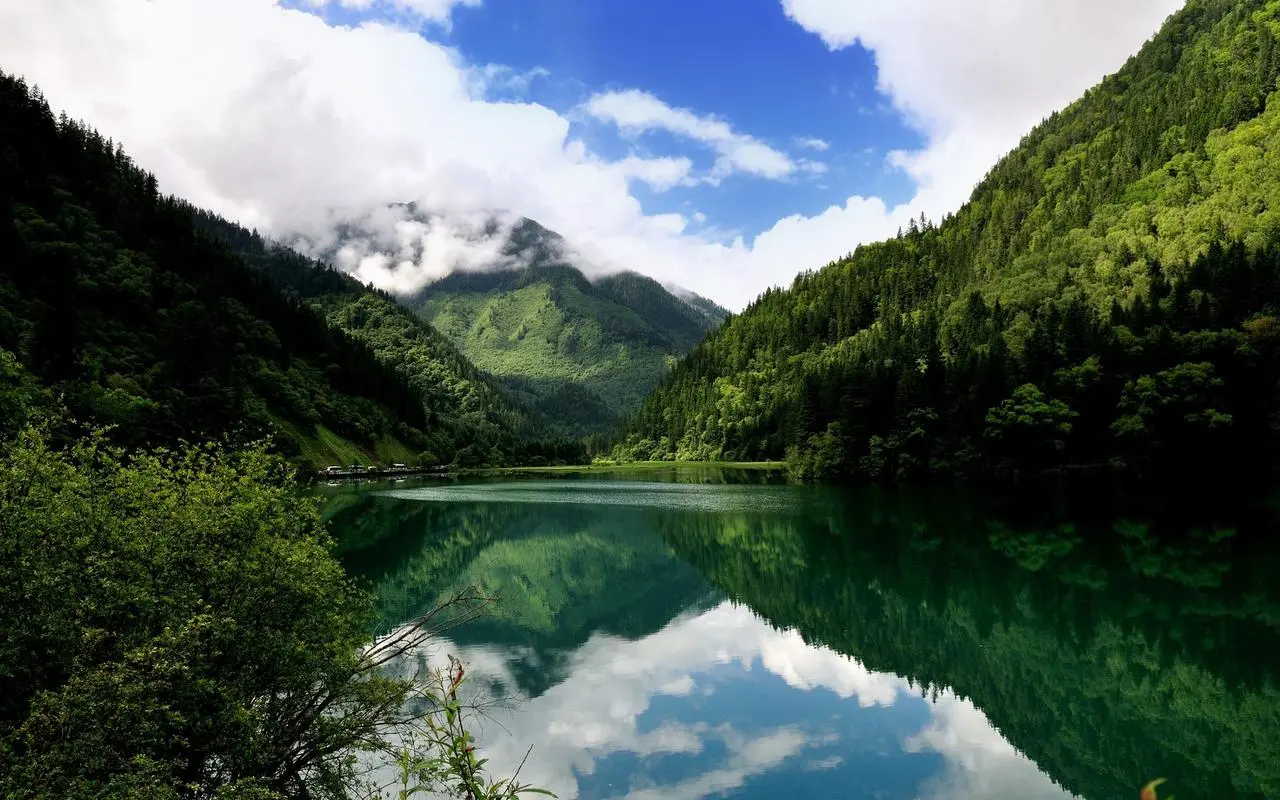 高效高精度